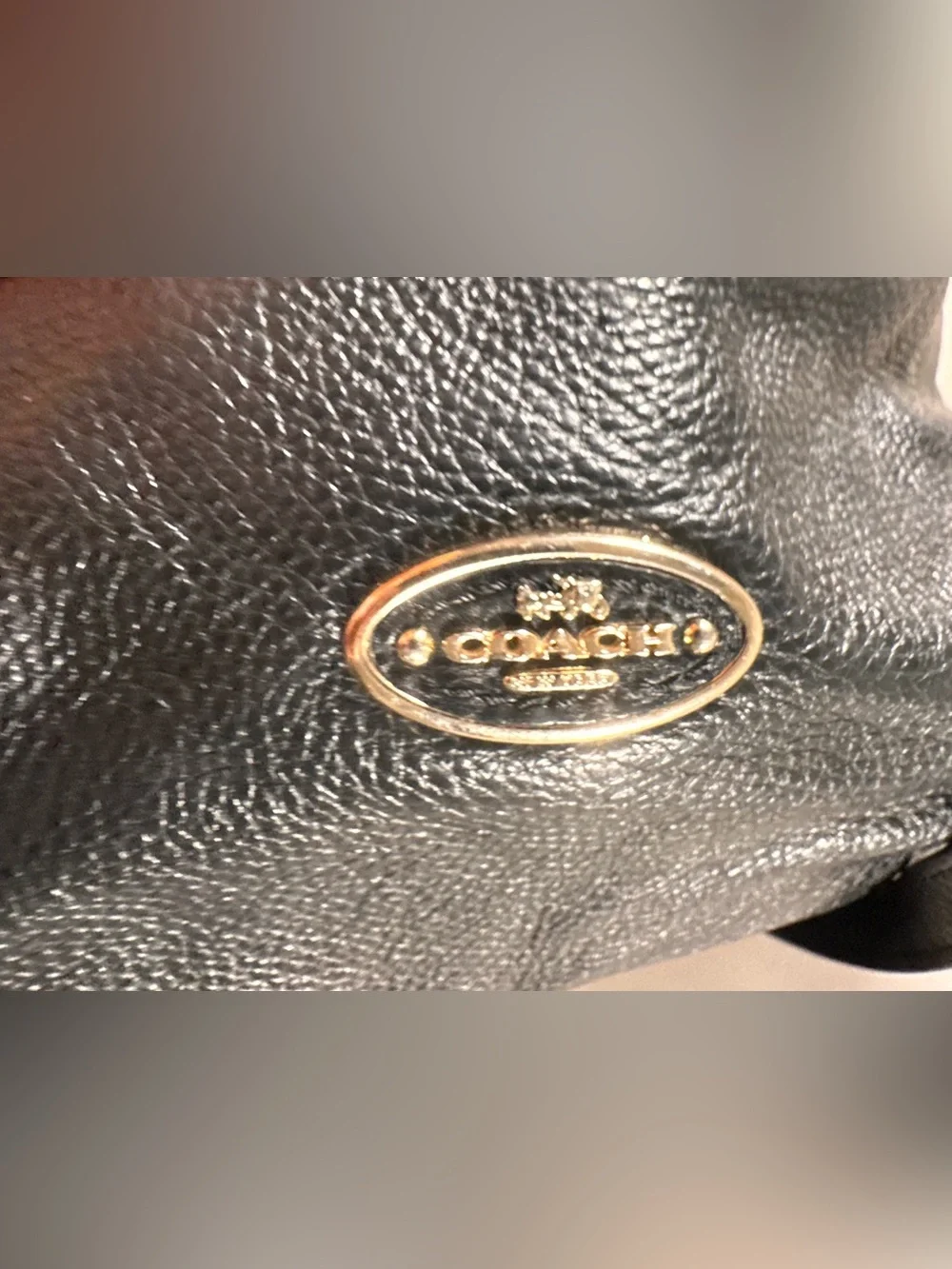 Coach Isabelle Hobo Black Pebbled Leather Crossbody Handbag Retro Y2K Gothcore